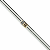 True Temper Dynamic Gold Taper Tip - für Eisen