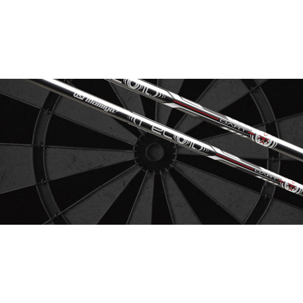 UST Mamiya RECOIL Dart Iron 65/75