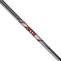 True Temper AMT Red Steel Iron Schaft