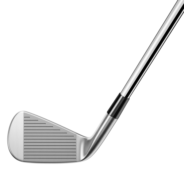 TaylorMade P790 Eisen Herren Golfschläger